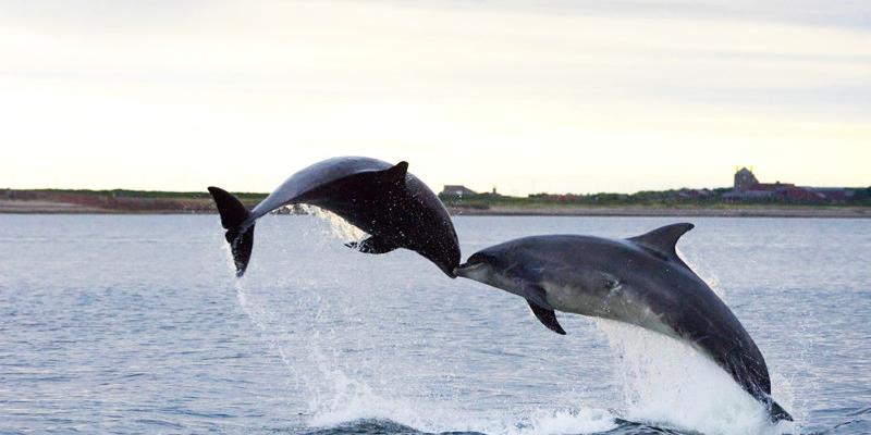 8 Reasons You Wouldn't Want To Go To The Algarve