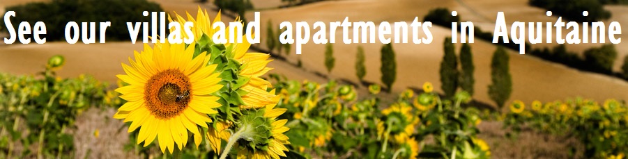 Villas and apartments in Aquitaine