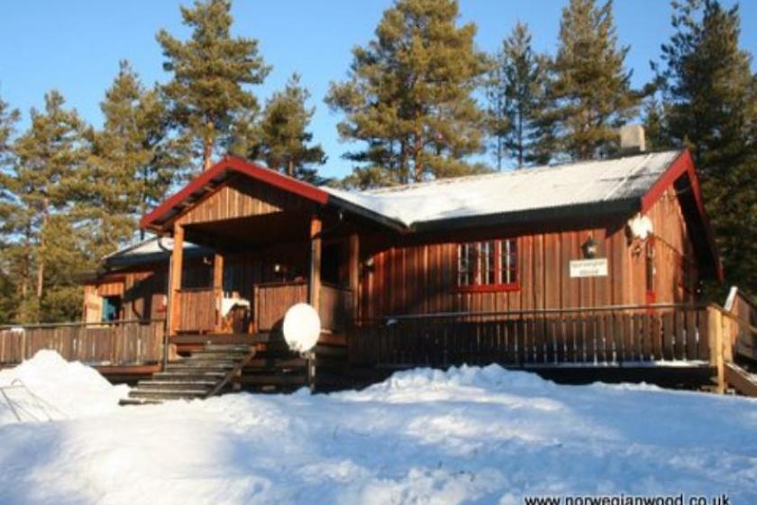 Cabin to rent in Amli, Norway near beach 11505