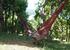 What's more relaxing than a siesta in a Hammock - with a view of the Beach ?