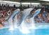 Zoomarine - fun for all the family, 25 minute drive