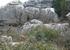 wildlife picture on El Torcal