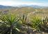 Over the hills and far away