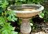 Bird Bath in Garden