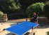 Table Tennis is available at Araxa -4