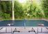 Table Tennis