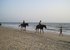 Vast Beaches of Goa