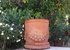 one of many terracotta pots