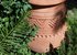 one of many terracotta pots