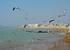 La Cruz del Mar Beach.