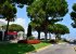 Marina Baie des Anges with port, restaurants and bars. 5-10 min walk!
