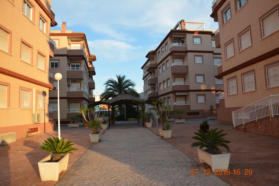 Apartment to rent in Algorfa, Spain with shared pool 190843