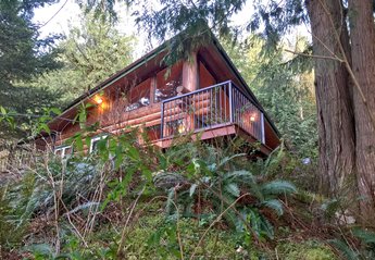 Cabin in USA, Washington