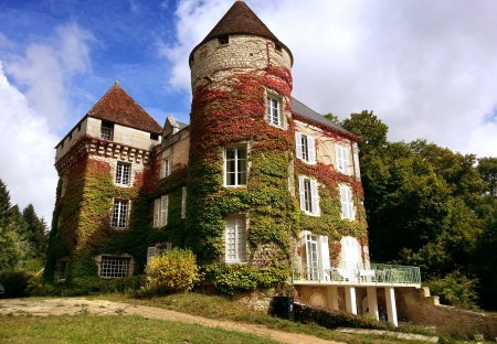 Chateau in Le Blanc, France