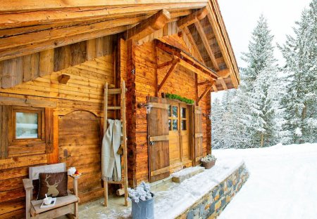Chalet in Courchevel, France: marmottes-Courchevel 2010