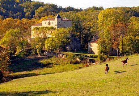 Chateau in Laroque-d'Olmes, the South of France