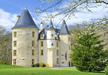 Chateau in Salies-du-Salat, the South of France: Proprietes de France - chateau de Saint-Martory ..