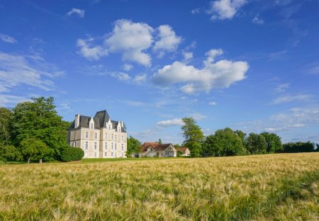 Chateau in Bonneuil-Matours, France