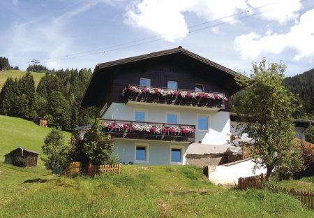 Apartment in Hofmarkt, Austria