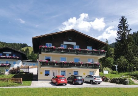 Apartment in Hofmarkt, Austria