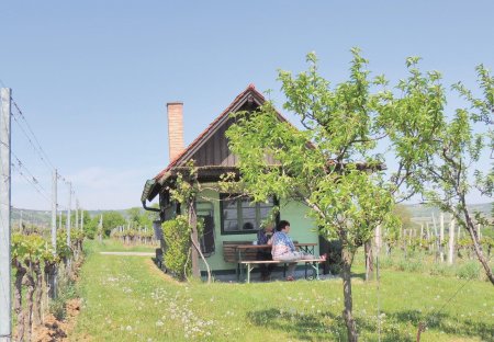 Chalet in Deutsch Schützen, Austria