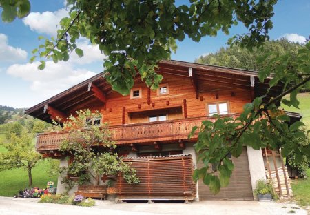 Chalet in Hof, Austria