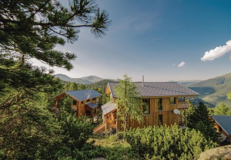 Chalet in Predlitz, Austria