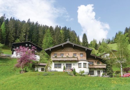 Apartment in Hof, Austria