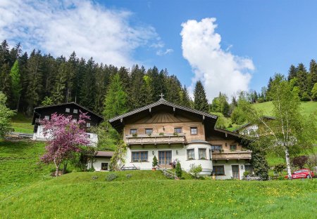 Apartment in Hof, Austria