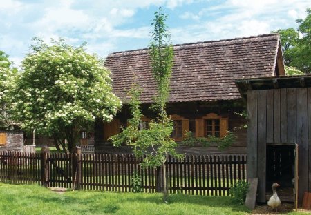 Villa in Lonja, Croatia