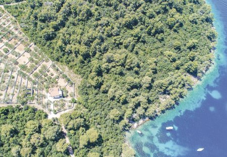 Villa in Smokvica, Croatia