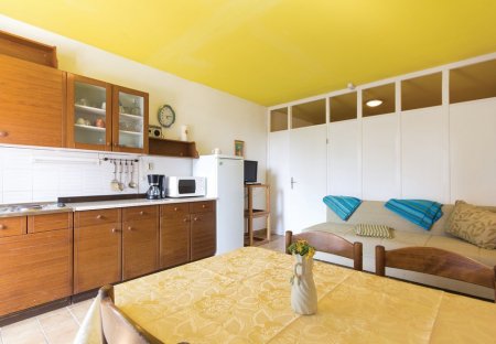 Apartment in Šegotići, Croatia