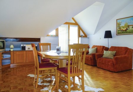 Apartment in Bogojina, Slovenia