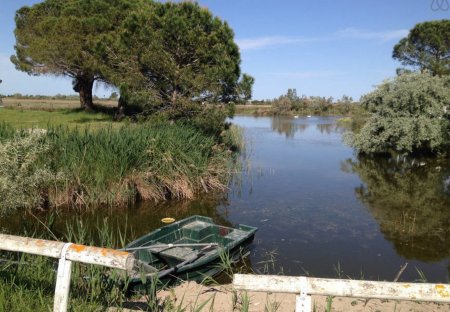 House in Saintes-Maries-de-la-Mer, the South of France