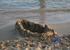 Sand castling for the kids - Corallia