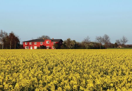 Apartment in Boergerende-Rethwisch, Germany