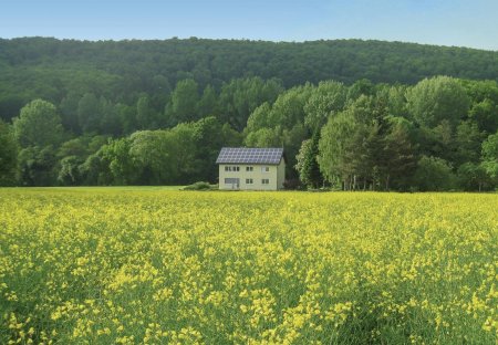 Studio Apartment in Homberg, Germany