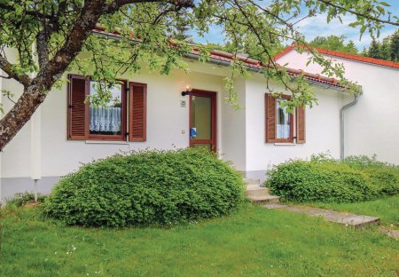 House in Falkenstein, Germany