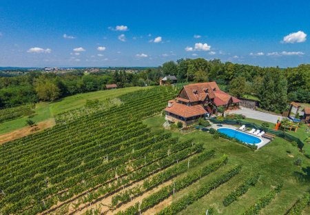 Villa in Grabovnica, Croatia