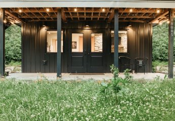 Studio Apartment in USA, Washington