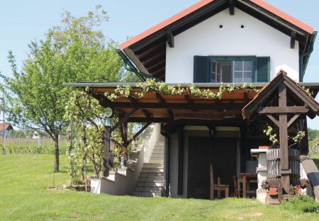 Chalet in Winten, Austria