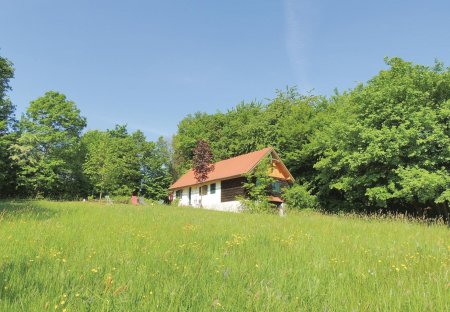 Chalet in Winten, Austria