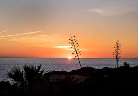Villa in Alfanzina, Algarve