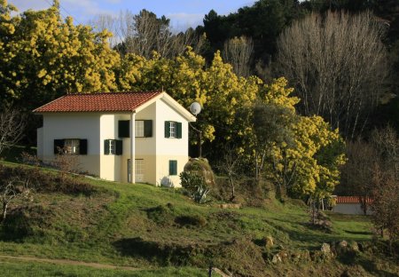 Cottage in Covas, Portugal