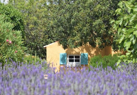 Cottage in Renda, Algarve
