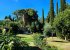Villa Claire Corfu:10-acre private property of total rejuvenation