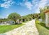 Stone garden paths through landscaped lawns and olive trees
