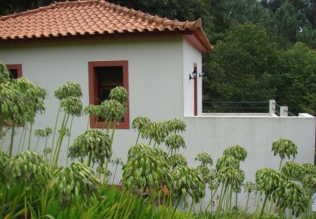 Villa in Achadinha, Madeira