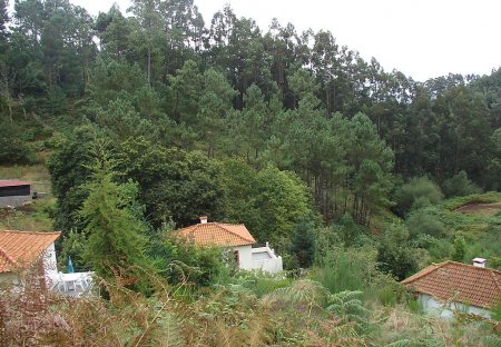 Villa in Achadinha, Madeira
