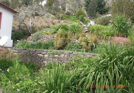 Villa in Achadinha, Madeira